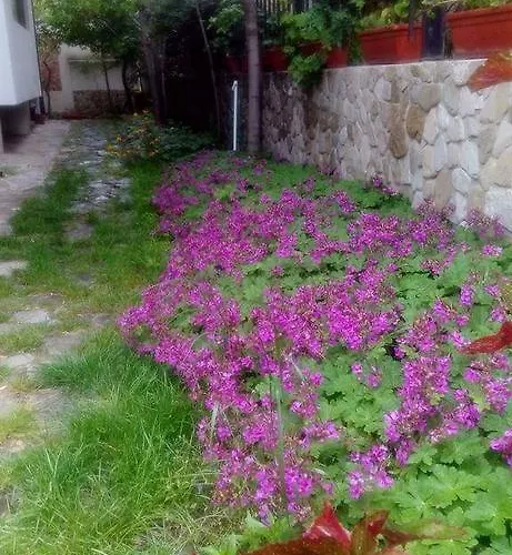 Nirvana Gæstehus 4*